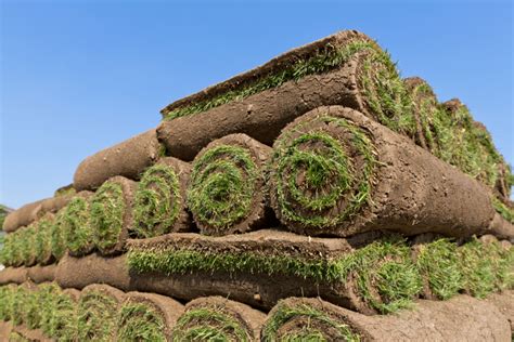 Sacramento Sod Company 